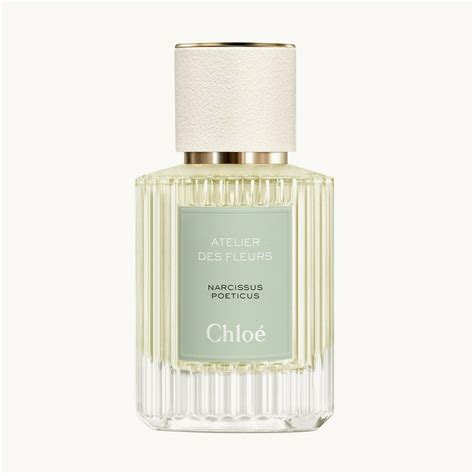 perfume narciso chloe|narcissus poeticus by chloe.